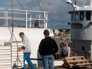Fiskarna Gunnar och Lars arbetar på sin båt i Träslövsläges fiskehamn /Foto: Karl-Gunnar Svensson