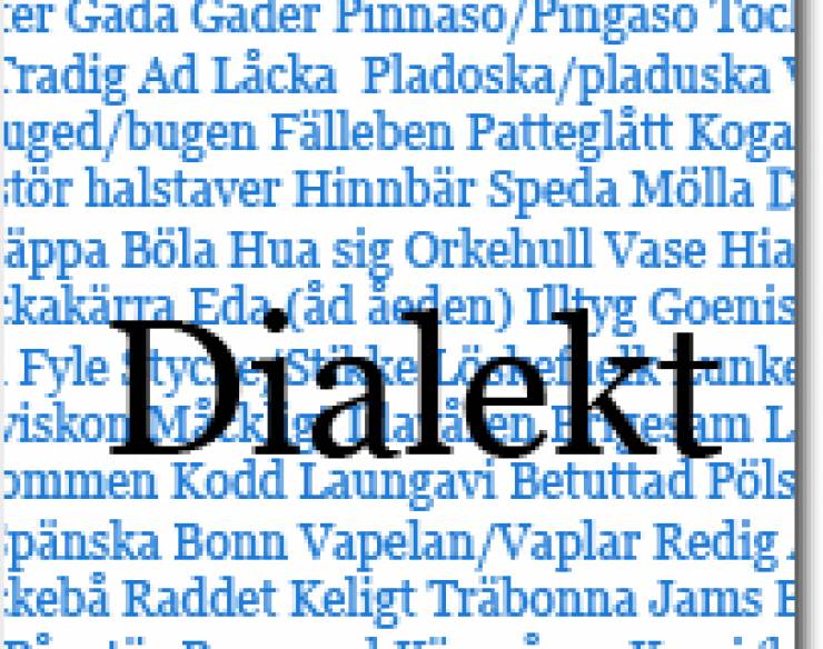 Dialekt